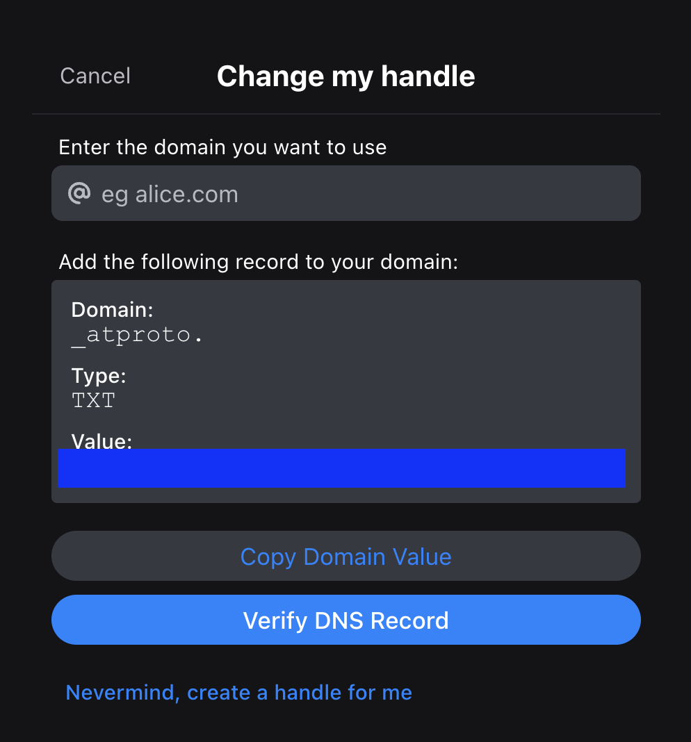 Bluesky DNS Verification